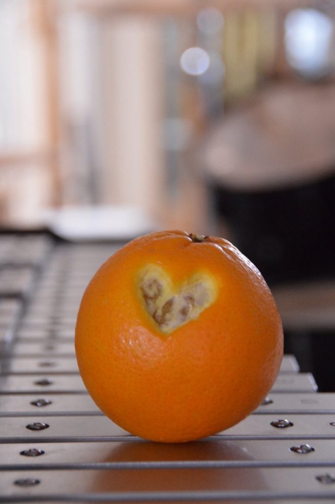 orange love2 (Grande)